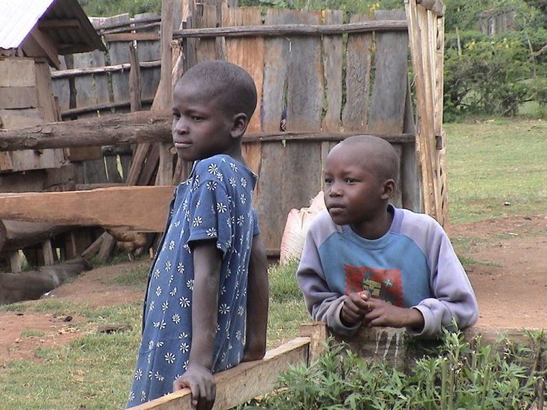 The USAID Imbroglio